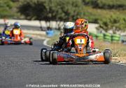 DSC_7133 copie
